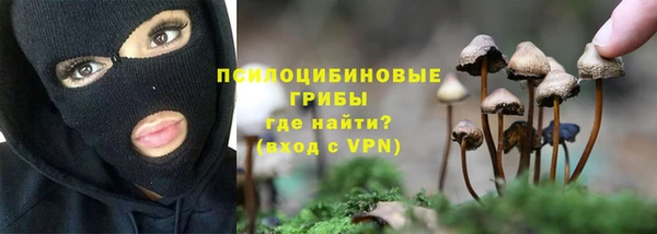 apvp Волосово